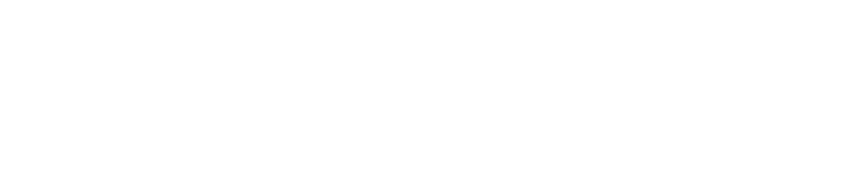 Play Like a Super Fan. Win Like a Champion